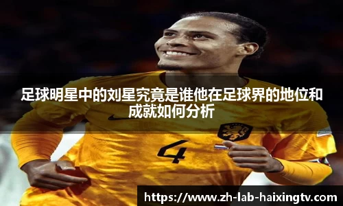 足球明星中的刘星究竟是谁他在足球界的地位和成就如何分析